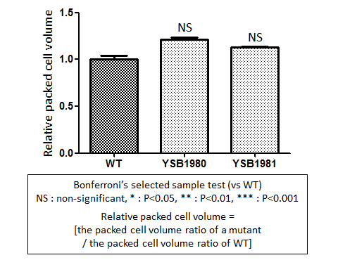 Capsule phenotype for CNAG_00018T0