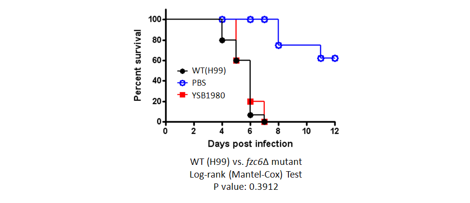 Galleria mellonella virulence data for CNAG_00018T0