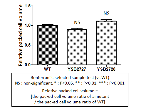 Capsule phenotype for CNAG_00031T1