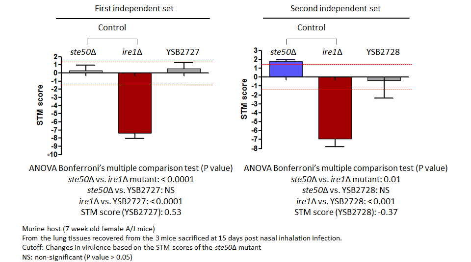 STM murine host model data for CNAG_00031T1