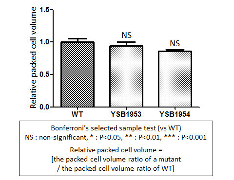Capsule phenotype for CNAG_00039T0