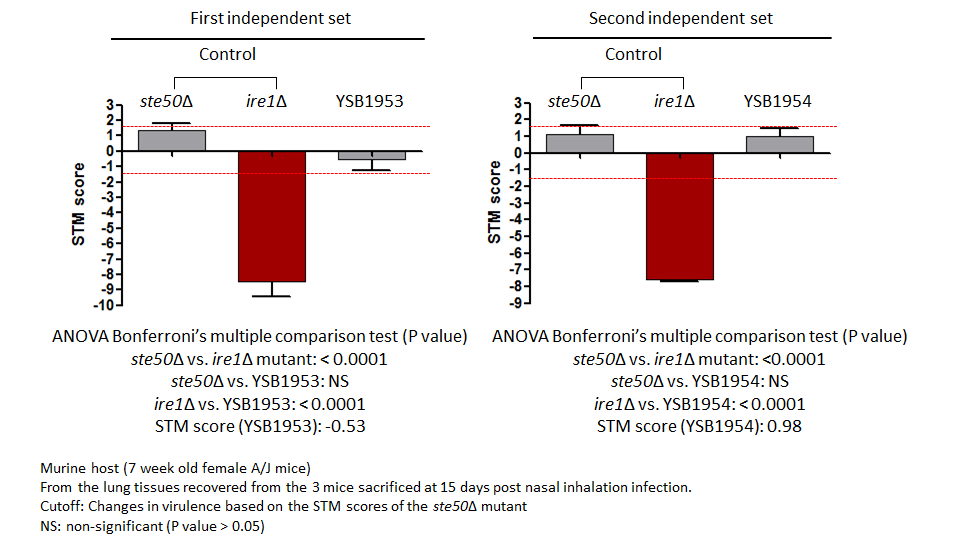 STM murine host model data for CNAG_00039T0