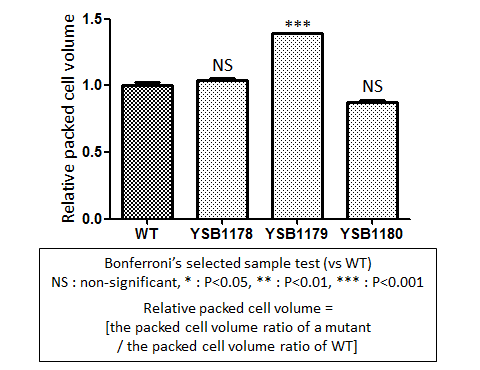 Capsule phenotype for CNAG_00068T0