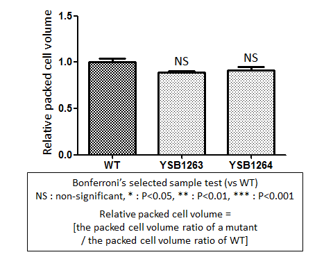 Capsule phenotype for CNAG_00156T1