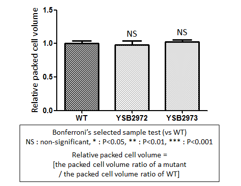 Capsule phenotype for CNAG_00193T0