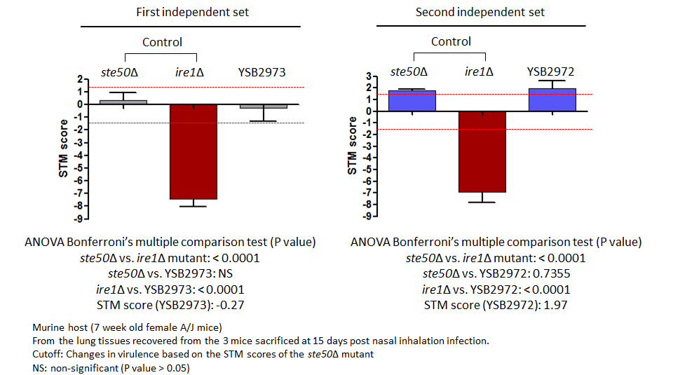 STM murine host model data for CNAG_00193T0