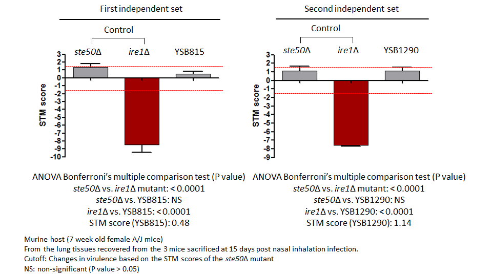 STM murine host model data for CNAG_00239T0
