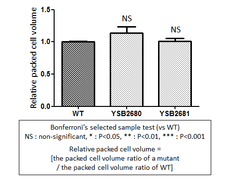 Capsule phenotype for CNAG_00332T0