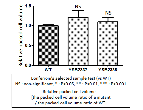 Capsule phenotype for CNAG_00505T0