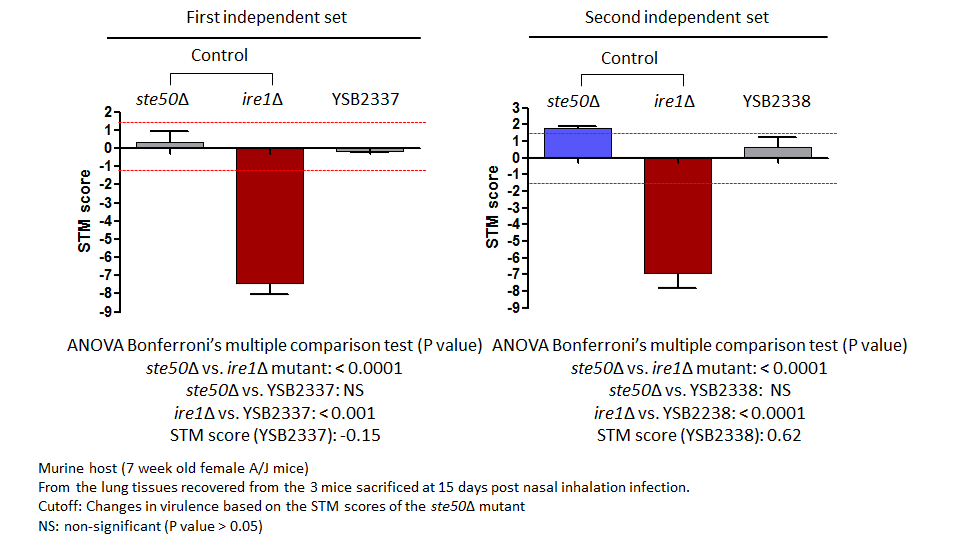 STM murine host model data for CNAG_00505T0