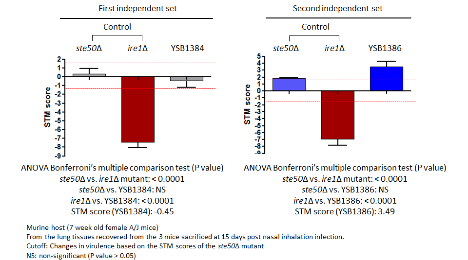 STM murine host model data for CNAG_00514T0