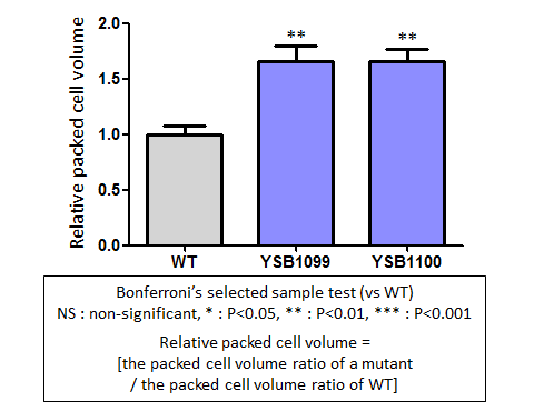 Capsule phenotype for CNAG_00559T0
