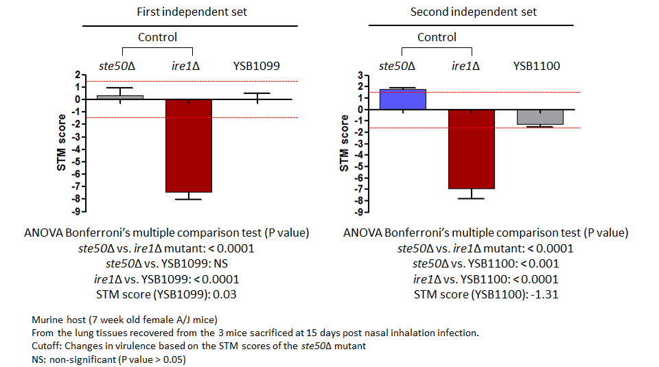 STM murine host model data for CNAG_00559T0