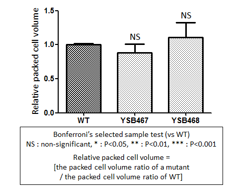 Capsule phenotype for CNAG_00670T1