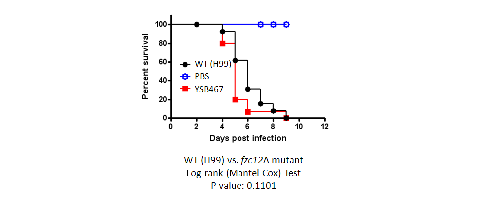 Galleria mellonella virulence data for CNAG_00670T1