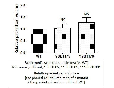Capsule phenotype for CNAG_00791T0