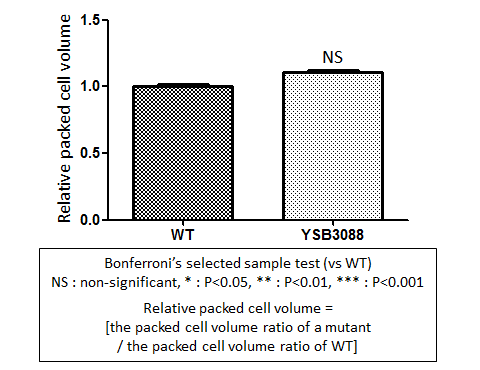 Capsule phenotype for CNAG_00841T0