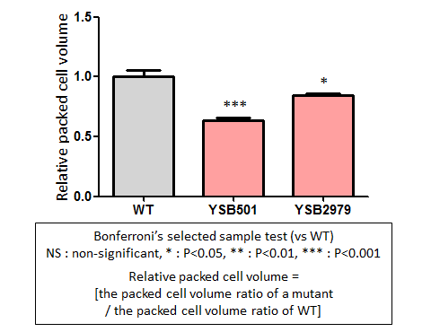 Capsule phenotype for CNAG_00896T0