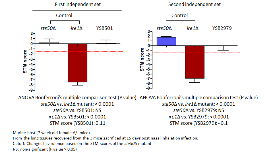 STM murine host model data for CNAG_00896T0