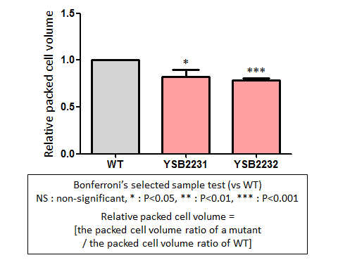Capsule phenotype for CNAG_01014T0