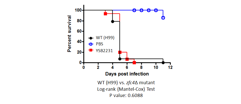 Galleria mellonella virulence data for CNAG_01014T0