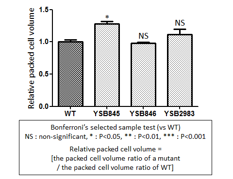 Capsule phenotype for CNAG_01069T0