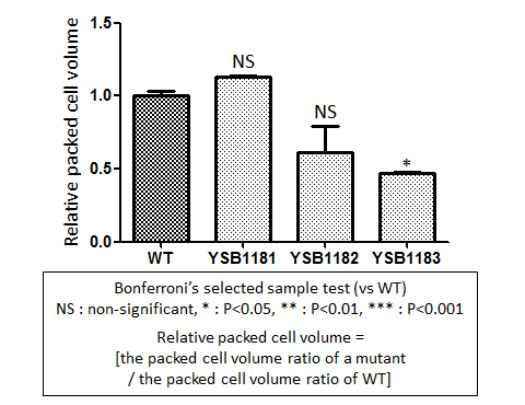 Capsule phenotype for CNAG_01173T0