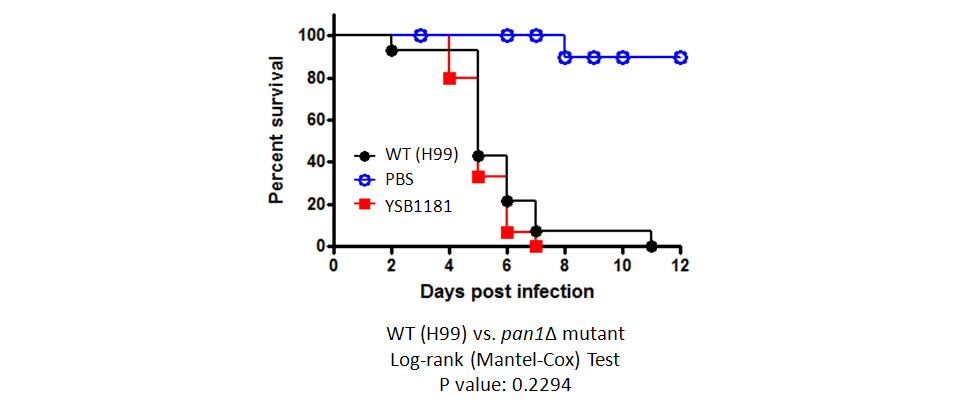 Galleria mellonella virulence data for CNAG_01173T0