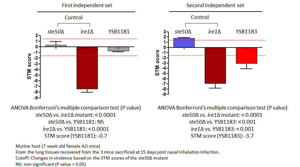 STM murine host model data for CNAG_01173T0