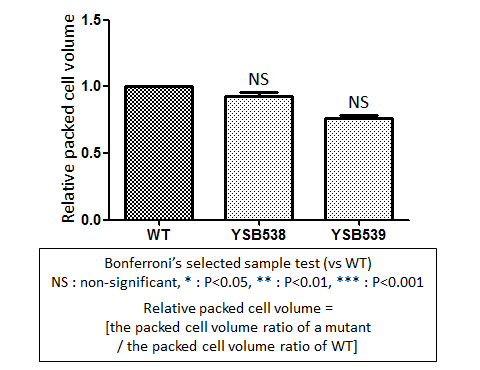 Capsule phenotype for CNAG_01438T0