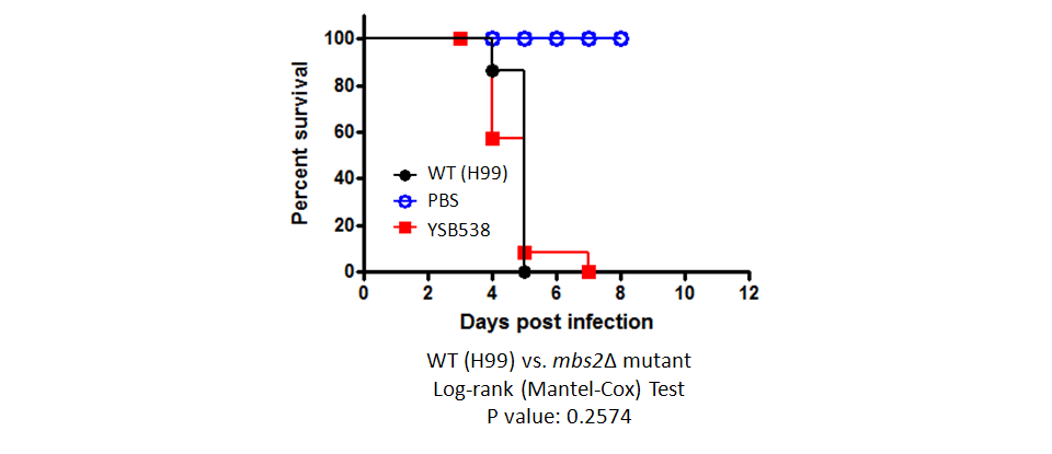 Galleria mellonella virulence data for CNAG_01438T0