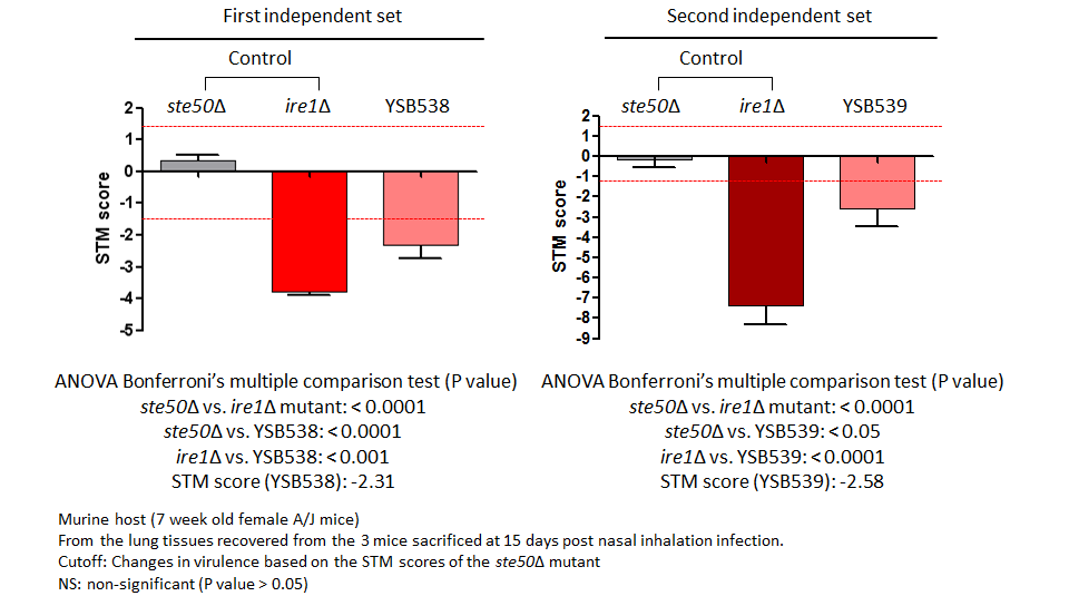 STM murine host model data for CNAG_01438T0