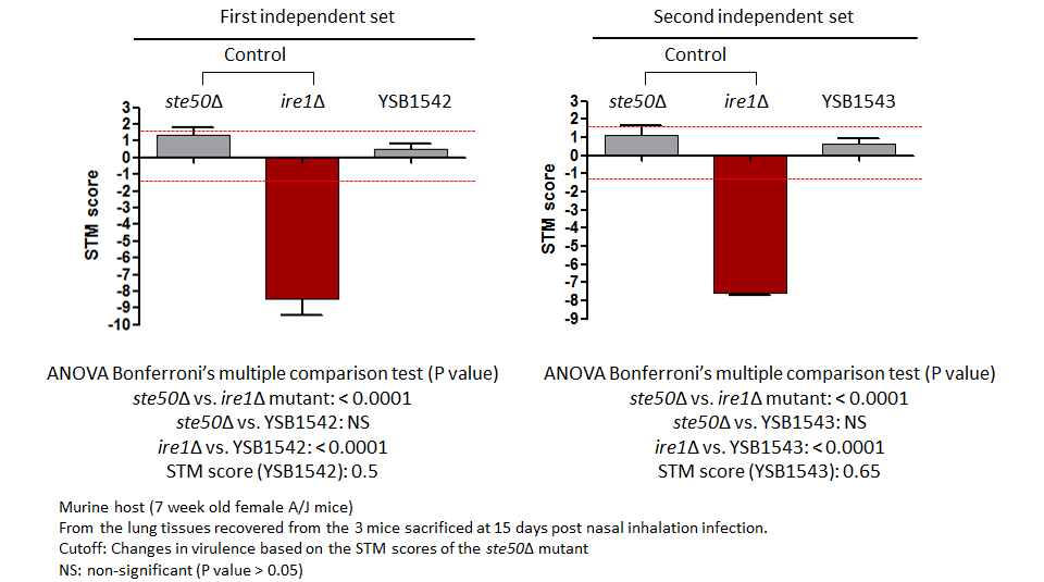 STM murine host model data for CNAG_01454T0