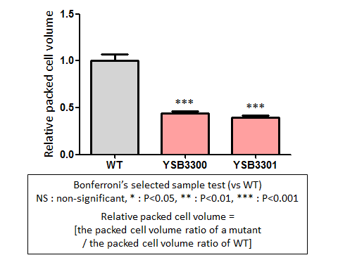 Capsule phenotype for CNAG_01551T0
