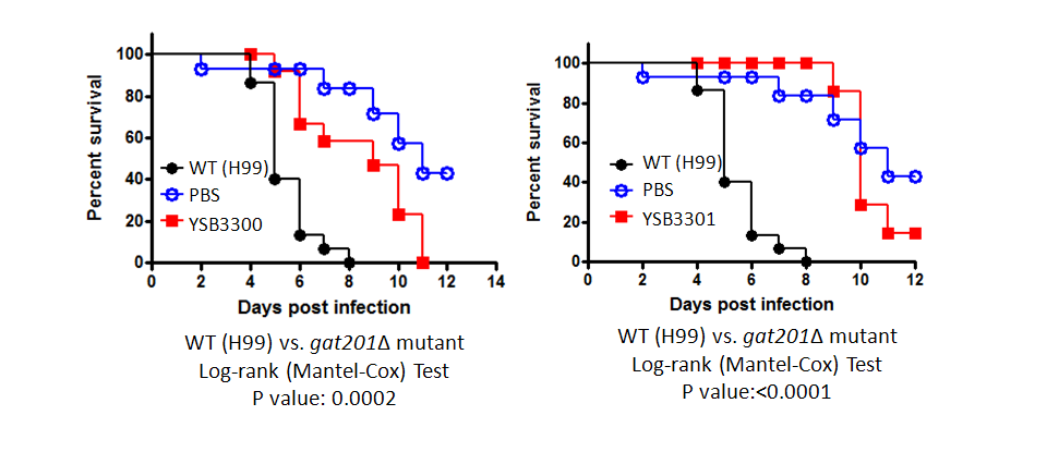 Galleria mellonella virulence data for CNAG_01551T0