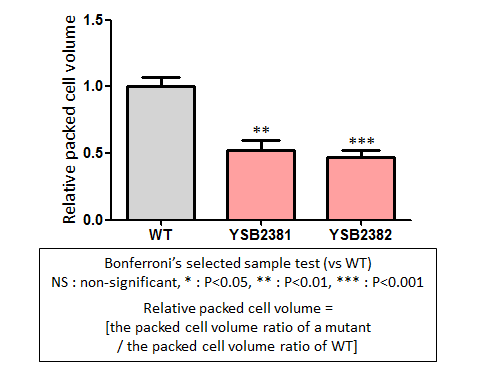 Capsule phenotype for CNAG_01626T0