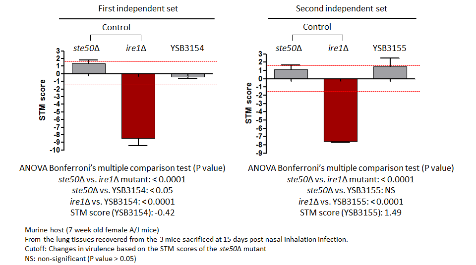 STM murine host model data for CNAG_01841T0