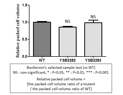 Capsule phenotype for CNAG_01858T0