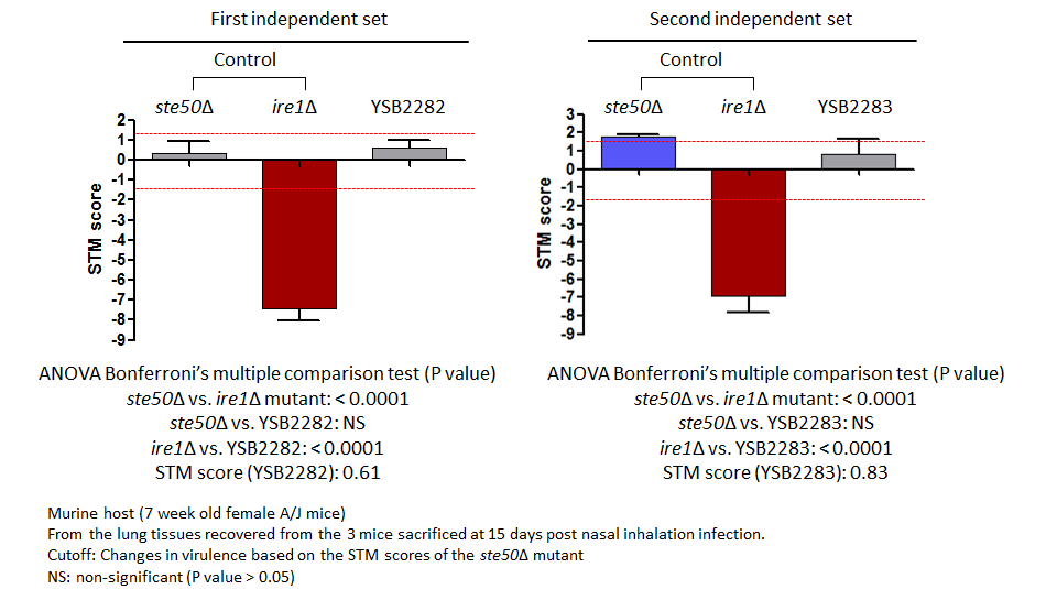 STM murine host model data for CNAG_01858T0