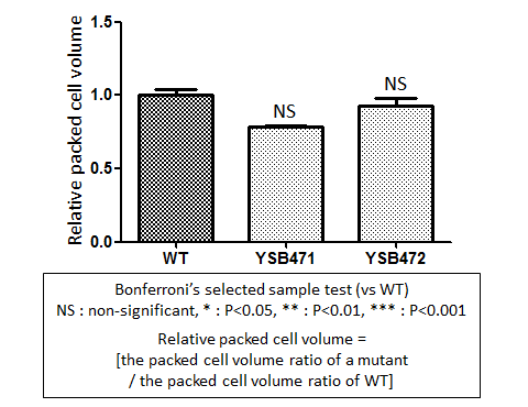 Capsule phenotype for CNAG_01883T0