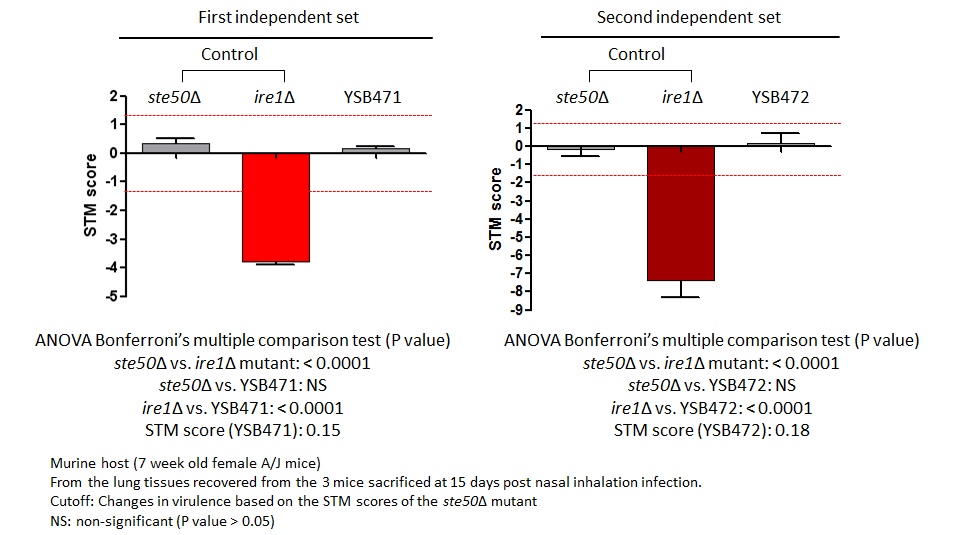 STM murine host model data for CNAG_01883T0