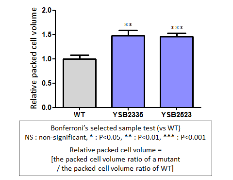 Capsule phenotype for CNAG_01948T0