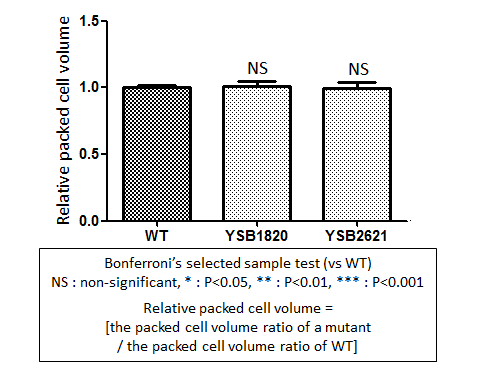 Capsule phenotype for CNAG_01977T0
