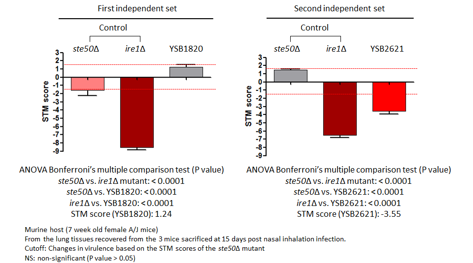 STM murine host model data for CNAG_01977T0