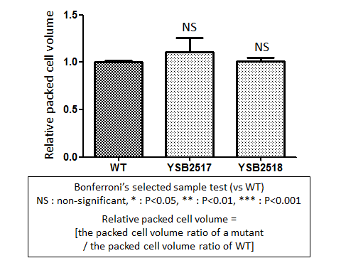 Capsule phenotype for CNAG_02066T0
