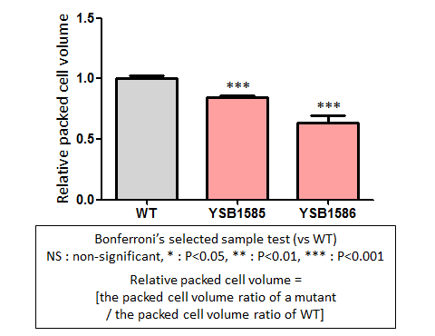 Capsule phenotype for CNAG_02241T0