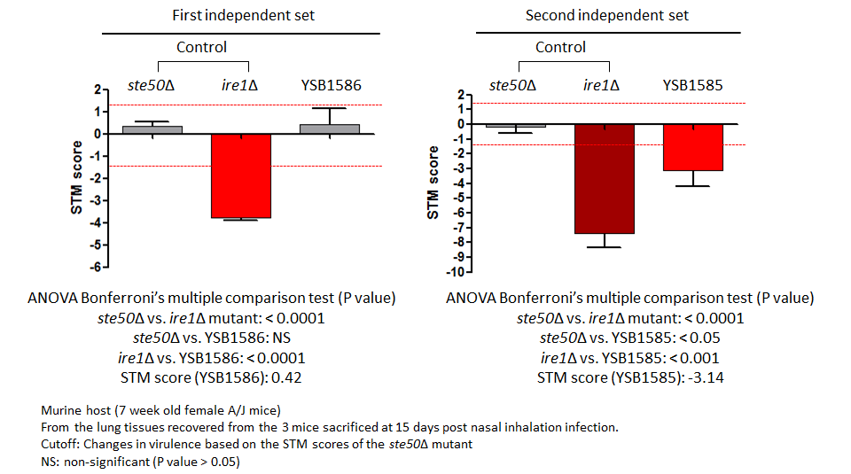 STM murine host model data for CNAG_02241T0
