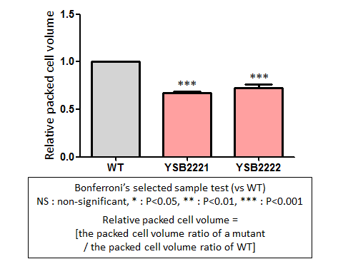 Capsule phenotype for CNAG_02305T0