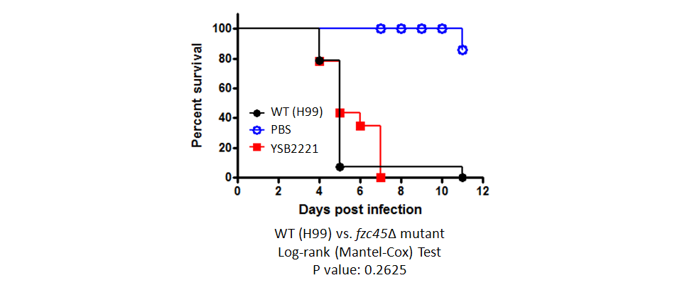 Galleria mellonella virulence data for CNAG_02305T0