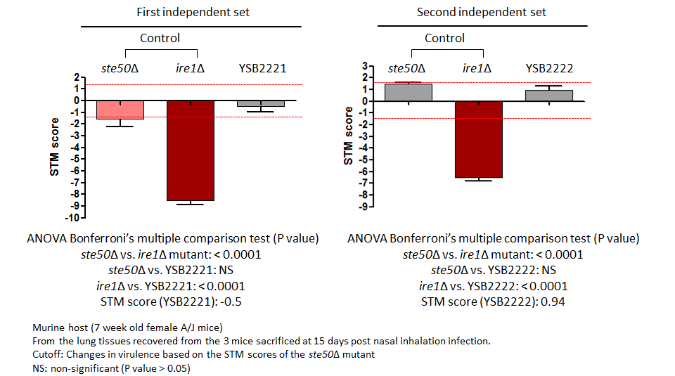 STM murine host model data for CNAG_02305T0